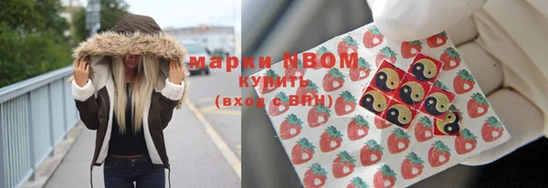 прущие грибы Вязьма