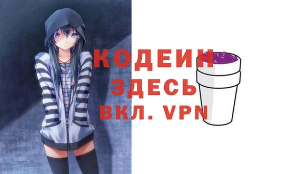 прущие грибы Вязьма