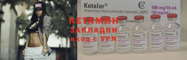 прущие грибы Вязьма