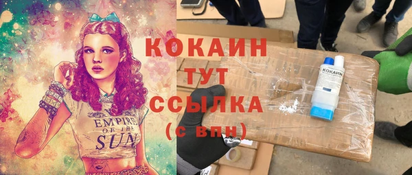 прущие грибы Вязьма