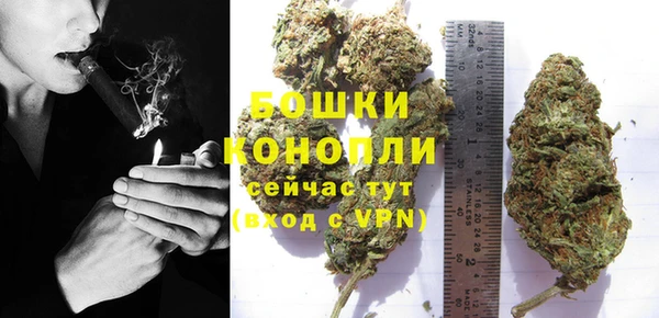 прущие грибы Вязьма