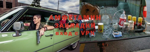 прущие грибы Вязьма