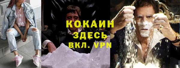прущие грибы Вязьма