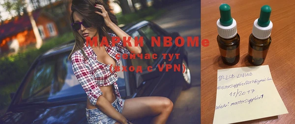 прущие грибы Вязьма