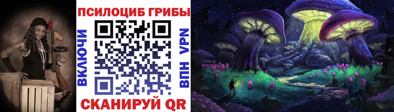 Псилоцибиновые грибы Psilocybine cubensis  Кубинка 